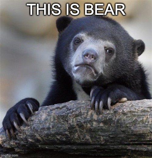 upvote for the bear :) | THIS IS BEAR | image tagged in memes,confession bear | made w/ Imgflip meme maker