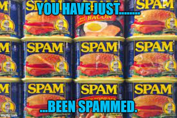SPAM notice | YOU HAVE JUST........ ...BEEN SPAMMED. | image tagged in humor,fun,food joke | made w/ Imgflip meme maker