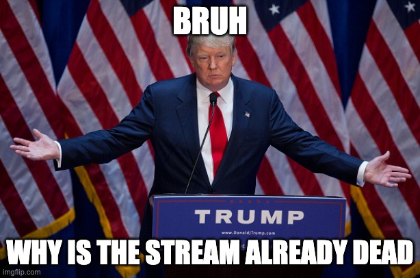 Donald Trump | BRUH; WHY IS THE STREAM ALREADY DEAD | image tagged in donald trump | made w/ Imgflip meme maker