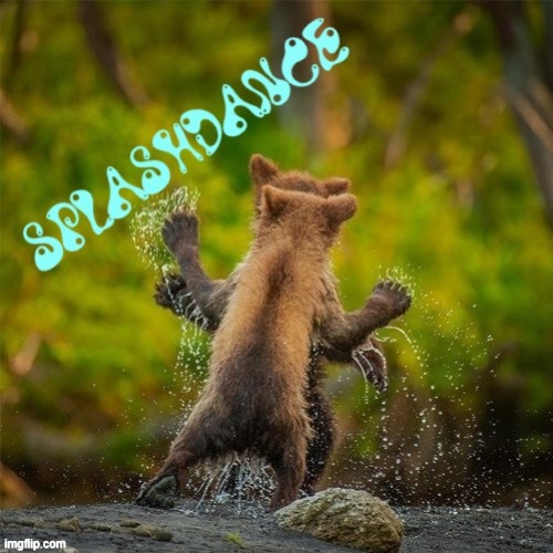 What A Feeling! | image tagged in funny animals,flashdance,bears,animals | made w/ Imgflip meme maker