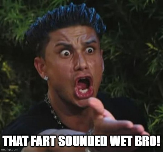 DJ Pauly D Meme | THAT FART SOUNDED WET BRO! | image tagged in memes,dj pauly d | made w/ Imgflip meme maker