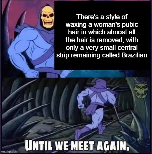 Until we meet again. | There's a style of waxing a woman's pubic hair in which almost all the hair is removed, with only a very small central strip remaining called Brazilian | image tagged in until we meet again | made w/ Imgflip meme maker