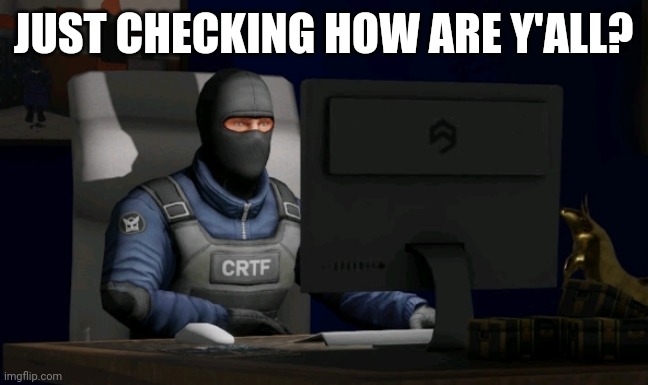 counter-terrorist looking at the computer | JUST CHECKING HOW ARE Y'ALL? | image tagged in computer | made w/ Imgflip meme maker