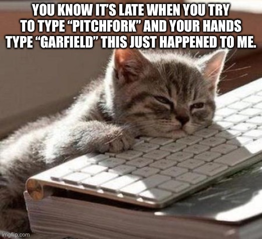 tired cat |  YOU KNOW IT’S LATE WHEN YOU TRY TO TYPE “PITCHFORK” AND YOUR HANDS TYPE “GARFIELD” THIS JUST HAPPENED TO ME. | image tagged in tired cat | made w/ Imgflip meme maker