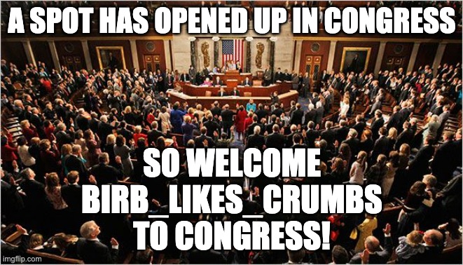 Welcome Birb! | A SPOT HAS OPENED UP IN CONGRESS; SO WELCOME BIRB_LIKES_CRUMBS TO CONGRESS! | image tagged in congress,memes,unfunny | made w/ Imgflip meme maker