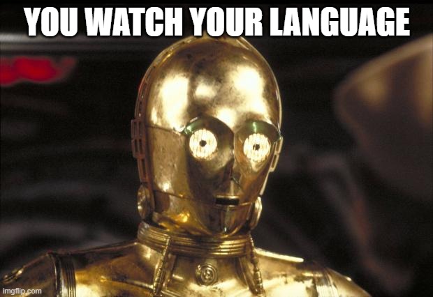 c3po | YOU WATCH YOUR LANGUAGE | image tagged in c3po | made w/ Imgflip meme maker