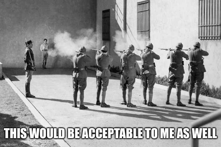 firing squad | THIS WOULD BE ACCEPTABLE TO ME AS WELL | image tagged in firing squad | made w/ Imgflip meme maker