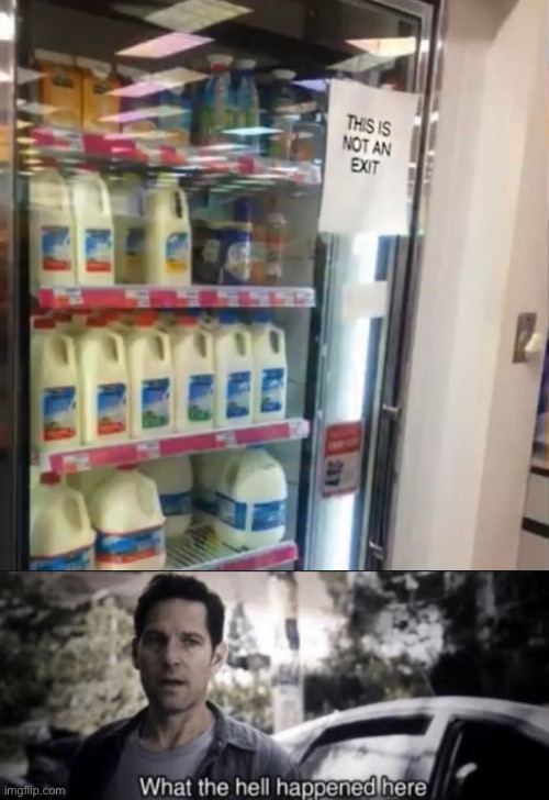 Excuse me? | image tagged in what the hell happened here | made w/ Imgflip meme maker