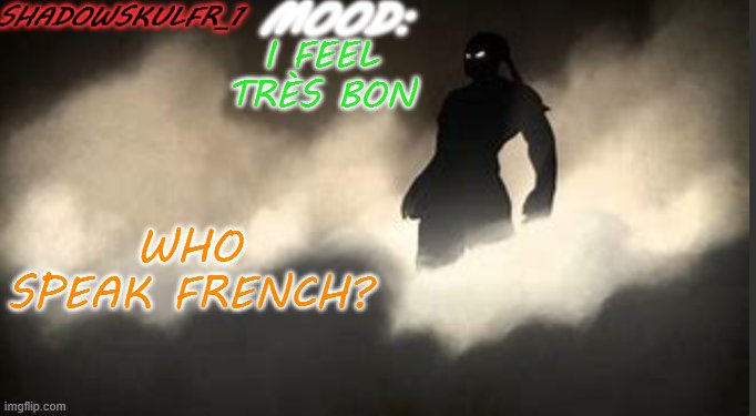 ShadowSkulFR_1 template | I FEEL TRÈS BON; WHO SPEAK FRENCH? | image tagged in shadowskulfr_1 template | made w/ Imgflip meme maker