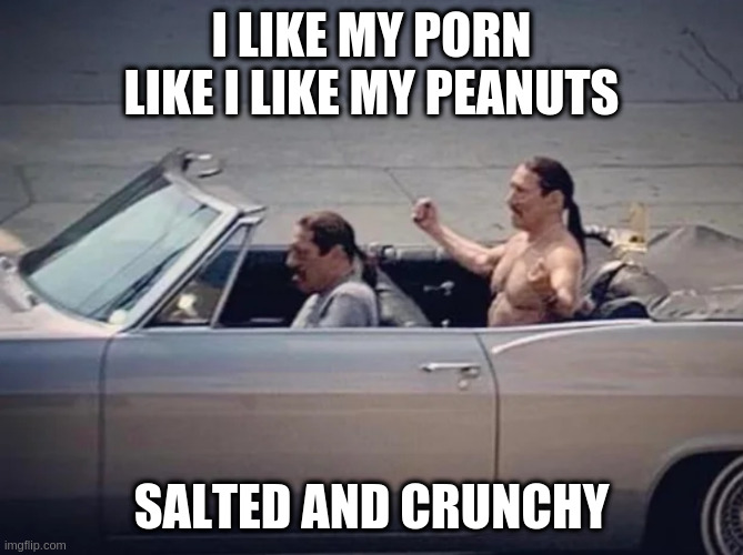 no not nuts | I LIKE MY PORN LIKE I LIKE MY PEANUTS SALTED AND CRUNCHY | image tagged in irony | made w/ Imgflip meme maker