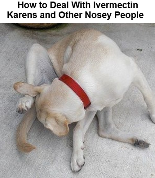 How to Deal With Ivermectin Karens and Other Nosey People | How to Deal With Ivermectin Karens and Other Nosey People | image tagged in ivermectin,karens,nosey people,ivermectin phobia,covidiots,plandemic | made w/ Imgflip meme maker