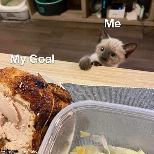 Huge goal....my god | image tagged in cats,goals | made w/ Imgflip meme maker
