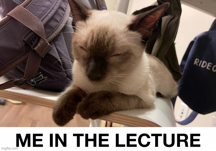 ME in the lecture | image tagged in me in the lecture | made w/ Imgflip meme maker
