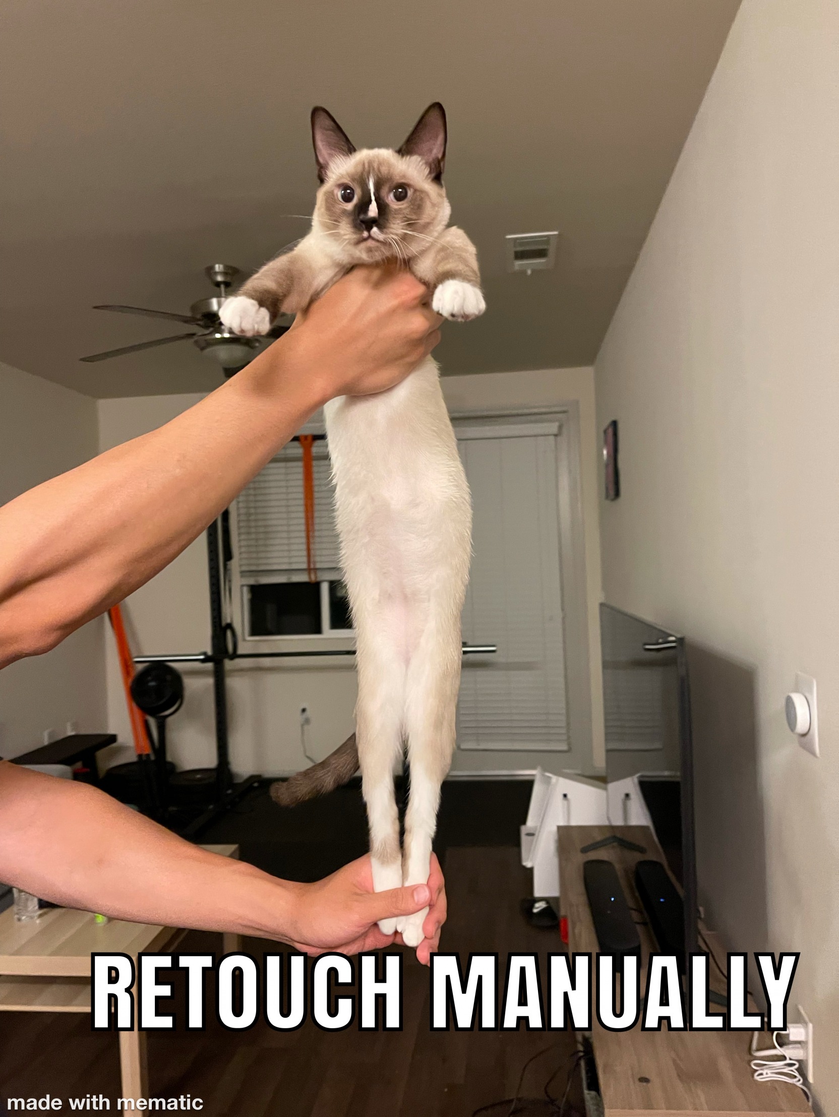 Retouch manually Blank Meme Template
