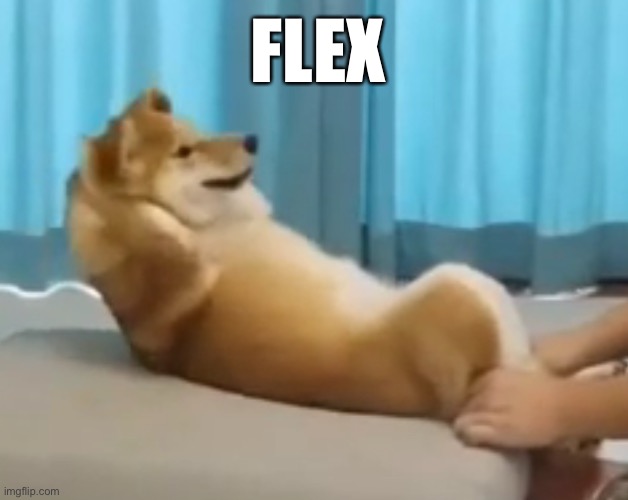 Doge Flex | FLEX | image tagged in doge,meme | made w/ Imgflip meme maker