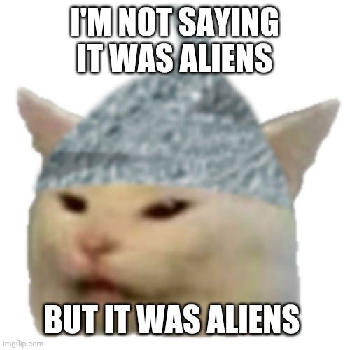 Smudge foil hat; I'm not saying it was aliens, but it was aliens | I'M NOT SAYING IT WAS ALIENS; BUT IT WAS ALIENS | image tagged in smudge the cat,tinfoil hat,ancient aliens,saying,conspiracy | made w/ Imgflip meme maker