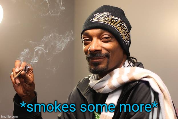 Snoop Dogg | *smokes some more* | image tagged in snoop dogg | made w/ Imgflip meme maker