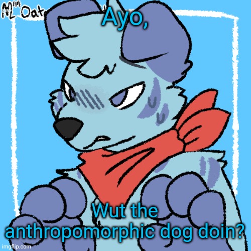 Larq | Ayo, Wut the anthropomorphic dog doin? | image tagged in larq | made w/ Imgflip meme maker
