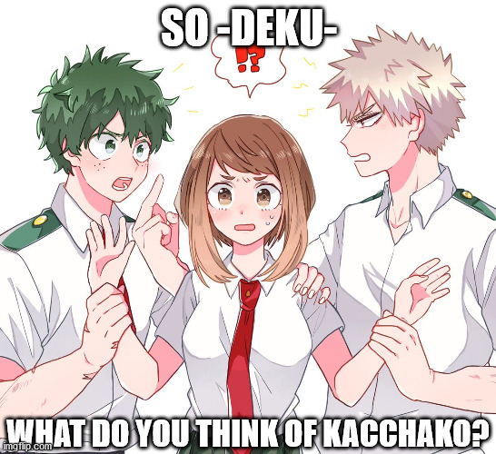 Personally, I think it's fricking disgusting. |  SO -DEKU-; WHAT DO YOU THINK OF KACCHAKO? | made w/ Imgflip meme maker