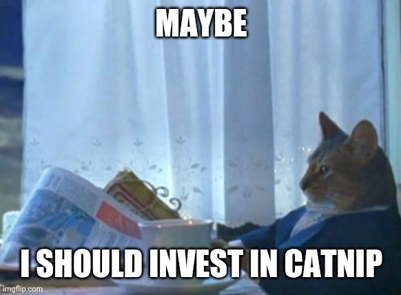 I Should Buy A Boat Cat | MAYBE; I SHOULD INVEST IN CATNIP | image tagged in memes,i should buy a boat cat | made w/ Imgflip meme maker