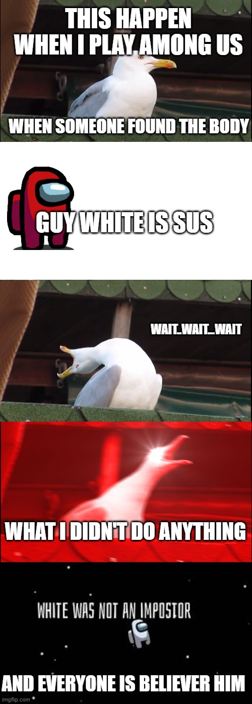 THIS HAPPEN WHEN I PLAY AMONG US; WHEN SOMEONE FOUND THE BODY; GUY WHITE IS SUS; WAIT..WAIT...WAIT; WHAT I DIDN'T DO ANYTHING; AND EVERYONE IS BELIEVER HIM | image tagged in memes,inhaling seagull | made w/ Imgflip meme maker