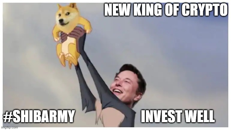 Shiba Inu King | NEW KING OF CRYPTO; #SHIBARMY                         INVEST WELL | image tagged in cryptocurrency,shiba inu,elon musk,shiba army | made w/ Imgflip meme maker