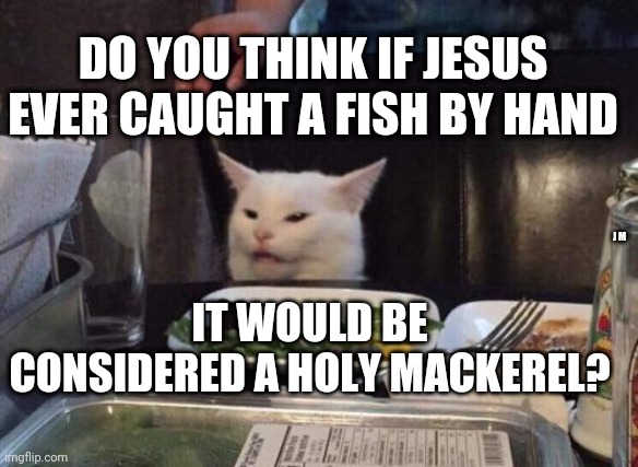Salad cat | DO YOU THINK IF JESUS EVER CAUGHT A FISH BY HAND; J M; IT WOULD BE CONSIDERED A HOLY MACKEREL? | image tagged in salad cat | made w/ Imgflip meme maker