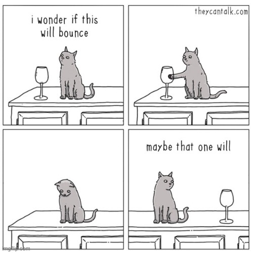 A Cat's Way Of Thinking | image tagged in memes,comics,cats,bounce,check,another one | made w/ Imgflip meme maker