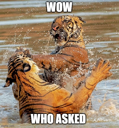 cat | WOW; WHO ASKED | image tagged in bitchslap | made w/ Imgflip meme maker