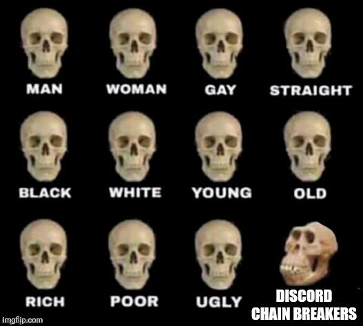 idiot skull | DISCORD CHAIN BREAKERS | image tagged in idiot skull | made w/ Imgflip meme maker