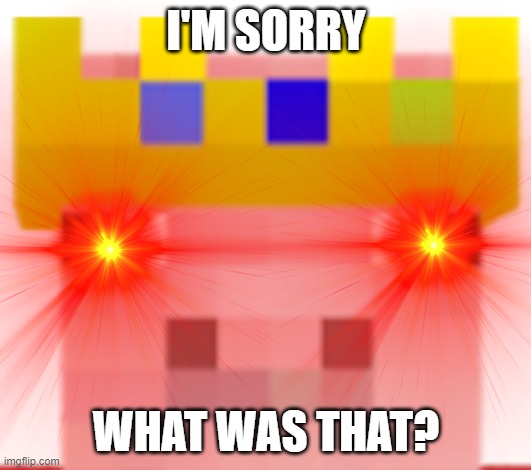 I'M SORRY WHAT WAS THAT? | made w/ Imgflip meme maker