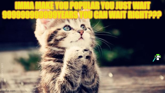Praying cat | IMMA MAKE YOU POPULAR YOU JUST WAIT 999999999999YEARS YOU CAN WAIT RIGHT??? | image tagged in praying cat | made w/ Imgflip meme maker