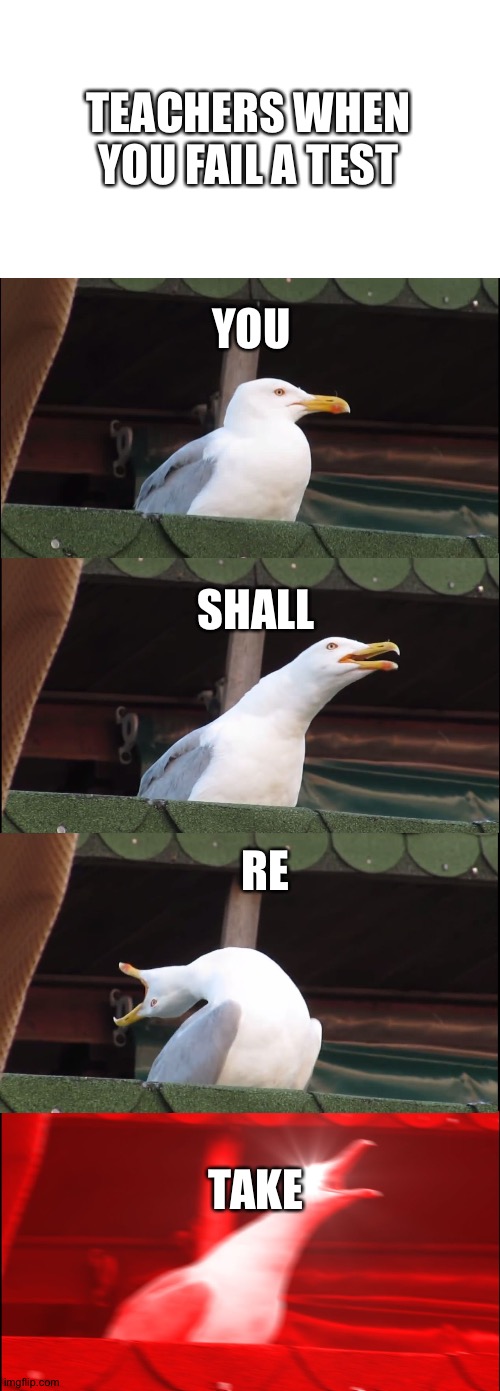 Teachers be like | TEACHERS WHEN YOU FAIL A TEST; YOU; SHALL; RE; TAKE | image tagged in memes,inhaling seagull | made w/ Imgflip meme maker
