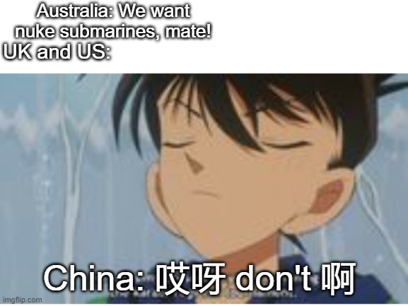 I Don't Care About Anything You Say | Australia: We want nuke submarines, mate! UK and US:; China: 哎呀 don't 啊 | image tagged in i don't care about anything you say | made w/ Imgflip meme maker