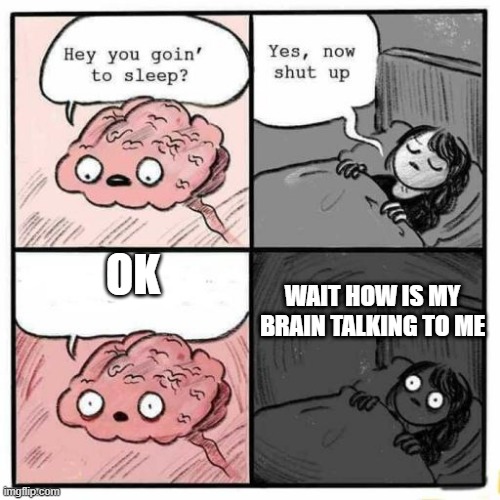 no meme ending | OK; WAIT HOW IS MY BRAIN TALKING TO ME | image tagged in hey you going to sleep | made w/ Imgflip meme maker