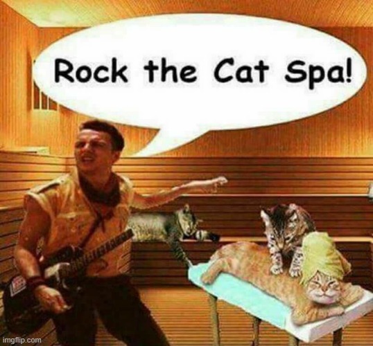 The Clash ! | image tagged in lolcats | made w/ Imgflip meme maker