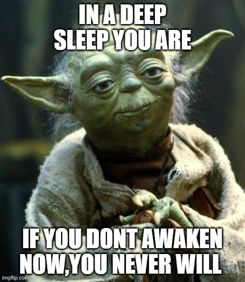 Star Wars Yoda | IN A DEEP SLEEP YOU ARE; IF YOU DONT AWAKEN NOW,YOU NEVER WILL | image tagged in memes,star wars yoda | made w/ Imgflip meme maker