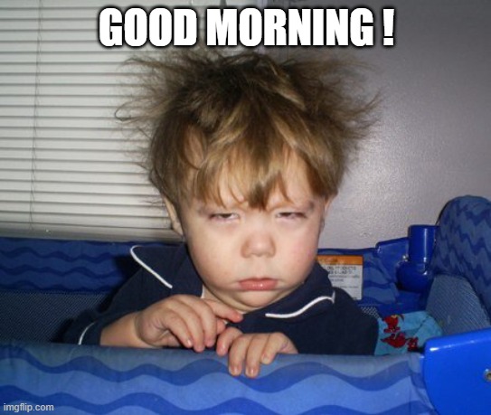 Monday Mornings | GOOD MORNING ! | image tagged in monday mornings | made w/ Imgflip meme maker