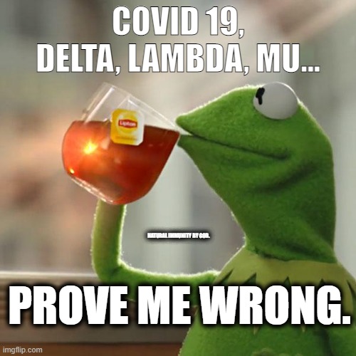 But That's None Of My Business | COVID 19, DELTA, LAMBDA, MU... NATURAL IMMUNITY BY GOD. PROVE ME WRONG. | image tagged in memes,but that's none of my business,kermit the frog | made w/ Imgflip meme maker