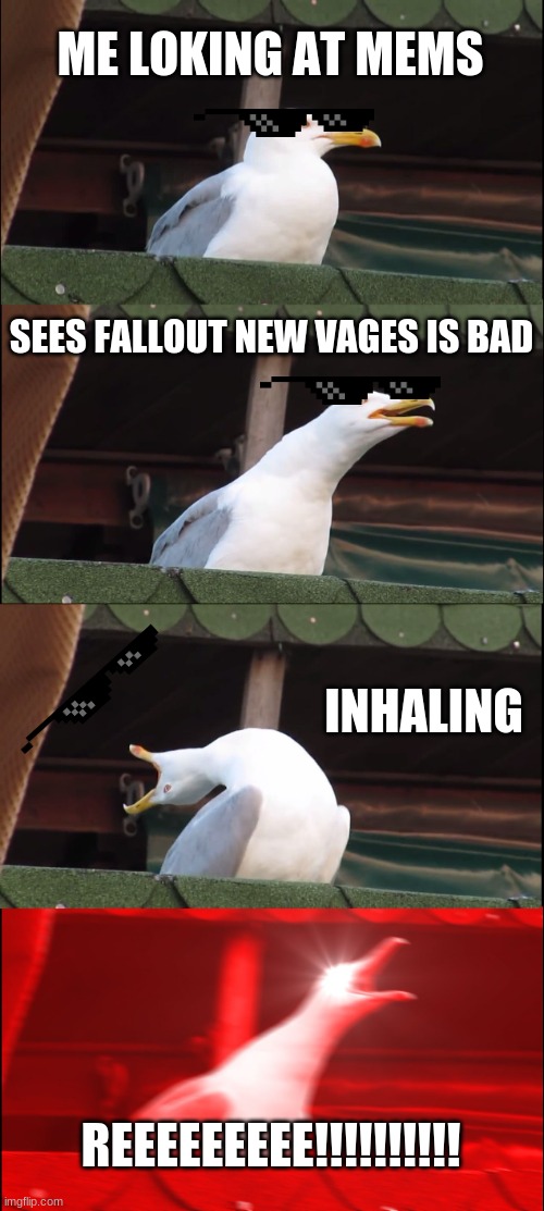 Inhaling Seagull | ME LOKING AT MEMS; SEES FALLOUT NEW VAGES IS BAD; INHALING; REEEEEEEEE!!!!!!!!!! | image tagged in memes,inhaling seagull | made w/ Imgflip meme maker