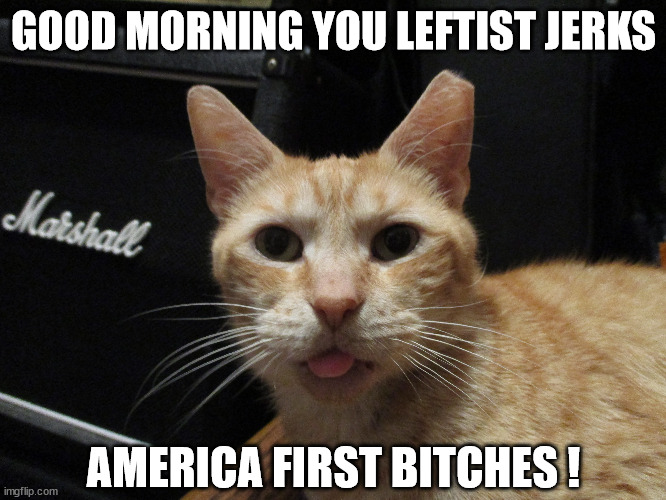 GOOD MORNING YOU LEFTIST JERKS; AMERICA FIRST BITCHES ! | image tagged in petey the cat america first | made w/ Imgflip meme maker