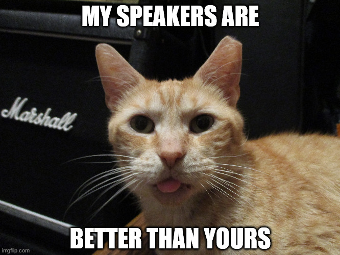 MY SPEAKERS ARE; BETTER THAN YOURS | image tagged in petey the cat speakers | made w/ Imgflip meme maker