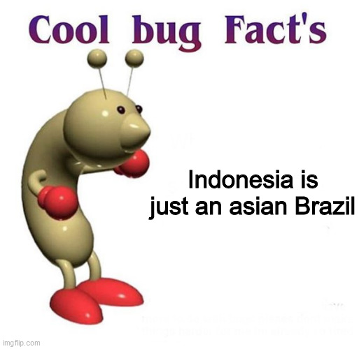 They like football and memes too, that's interesting | Indonesia is just an asian Brazil | image tagged in cool bug facts,memes,indonesia | made w/ Imgflip meme maker