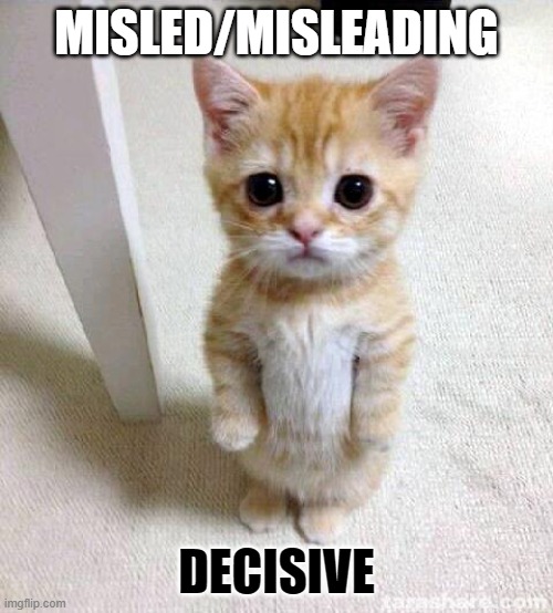 Define Misled: | MISLED/MISLEADING; DECISIVE | image tagged in memes,cute cat | made w/ Imgflip meme maker