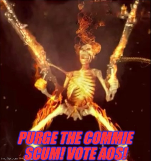 PURGE THE COMMIE SCUM! VOTE AOS! | made w/ Imgflip meme maker