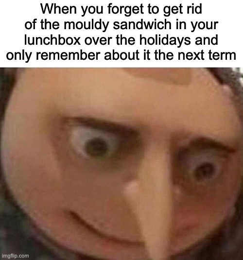 Oh NOOOOO | When you forget to get rid of the mouldy sandwich in your lunchbox over the holidays and only remember about it the next term | image tagged in gru meme,relatable,school | made w/ Imgflip meme maker