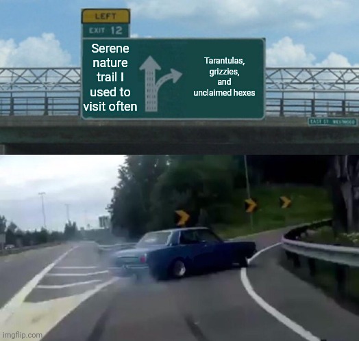 Left Exit 12 Off Ramp Meme | Serene nature trail I used to visit often; Tarantulas, grizzies, and unclaimed hexes | image tagged in memes,left exit 12 off ramp,Stride_Game | made w/ Imgflip meme maker