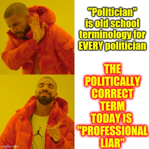 Professional Liars Lie For A Living.  It's Okay To Say It.  That's What They ALL Get Paid To Do | THE POLITICALLY CORRECT TERM TODAY IS  "PROFESSIONAL LIAR"; "Politician" is old school terminology for EVERY politician | image tagged in memes,drake hotline bling,politicians suck,republicans,democrats,independent | made w/ Imgflip meme maker