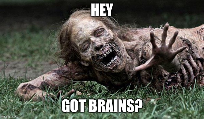 Got brains? | HEY; GOT BRAINS? | image tagged in walking dead zombie | made w/ Imgflip meme maker