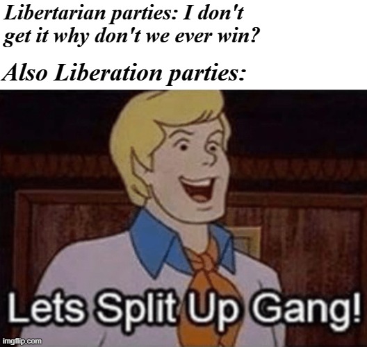 That's what? 4 lib parties now? | Libertarian parties: I don't get it why don't we ever win? Also Liberation parties: | image tagged in let s split up hang | made w/ Imgflip meme maker